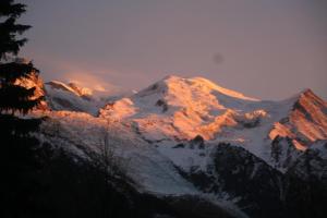 Chalets Chalet Alpine Rose : photos des chambres