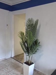 Entire Front House in Los Angeles