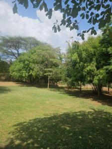 Bushbaby camping lake baringo