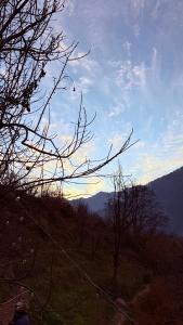 Kala कला Studio & Stay