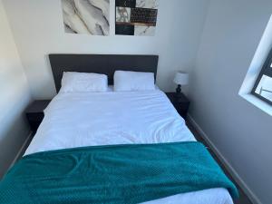 160 darling street, castle rock apartment