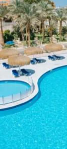 Apartment for daily rent free beach access