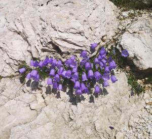 Balcone sul Civetta img53