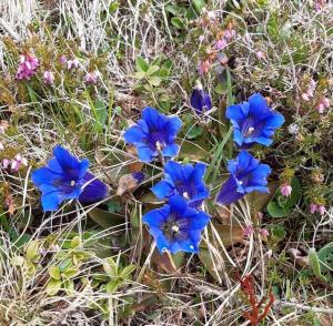 Balcone sul Civetta img51