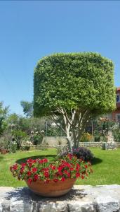 Yiannis apartment