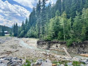 Explorer Creekside Cabin - Private Hot Tub