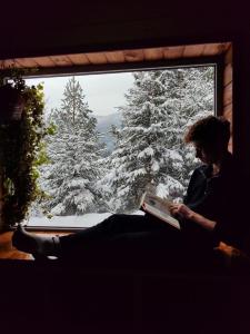 Шале над скелею