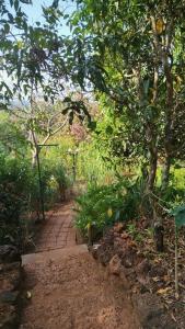 The Haven Goa Jungle Retreat and Wellness