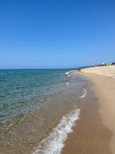 Blue Maisonette img43