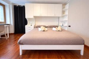 Dolomiti Cadore Home