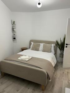 Old Town Luxury Apartment FREE Parking