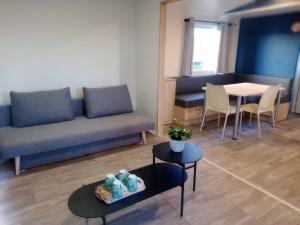Mobil-home spacieux, grande terrasse ,piscine en été