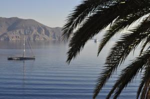 Palm Tree Studio Symi Symi Greece