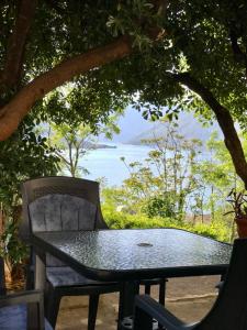 Blue Shell Apartments