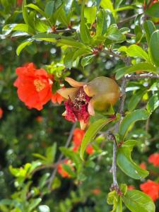 Vacation apartment for five in the hills of Abruzzo