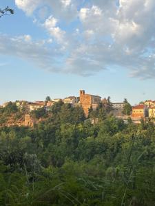 Vacation apartment for five in the hills of Abruzzo img35