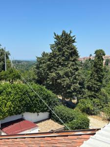 Vacation apartment for five in the hills of Abruzzo img34