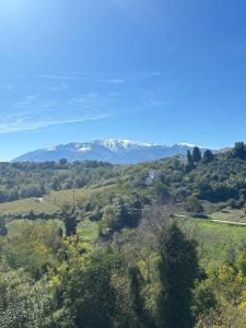 Vacation apartment for five in the hills of Abruzzo img31