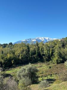 Vacation apartment for five in the hills of Abruzzo img38