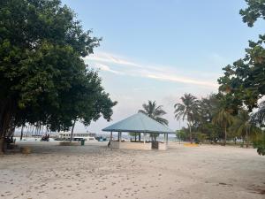 Asaa View Maldives