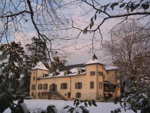 Château de Veigy photo 24
