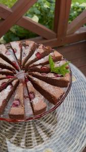 Wypoczynek pod Lipami