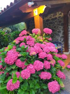 La casita de las flores