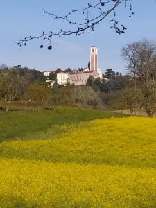 Appartamento Palladio residence Pergoletta