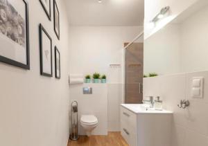 Apartament w Sercu Torunia