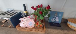 Blue Lagoon Holiday ,Bude 79