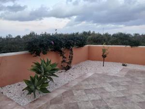 Ri Ale Sa prassa img24