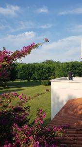 Flor de Azahar - Casa de Campo