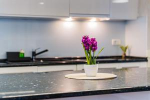 Flex SelfCheckIns 200 - Zagreb - 3 Bedrooms - Two-Story House