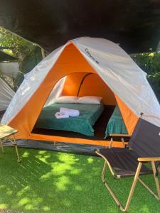Glamping Pomerode
