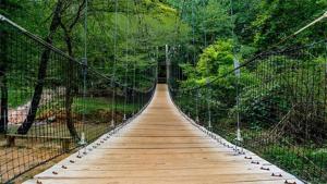 Charlotte Suite with Workspace, Parking and Kitchen