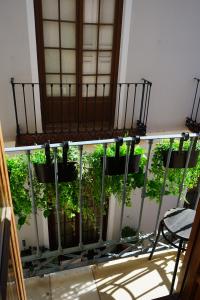 Oliva Apartments Molinillo