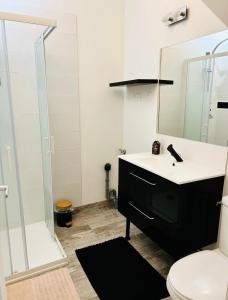 Appartement Centre ville