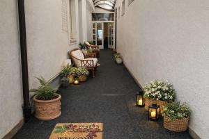 Lovely Garden Compact Apartment near Center Ideal for Weekend Stay