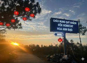 Hoa Anh Đào 701TM27