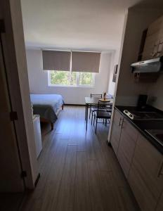 Depto estudio ubicado en Condominio Pucon Andino