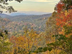 Mels Cabin - Reset and relax