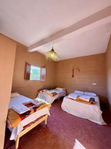 Camping Les Palmeraies - Oasis Escape Tagounite