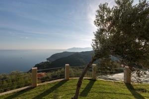 Olivia's Villas of Luxury Skiathos Greece