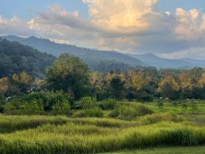 THANYAWANA Glamping Tents