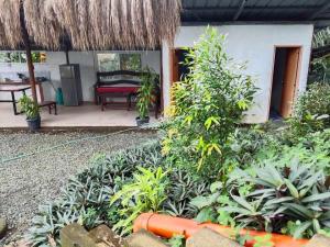 Vista Linda Farmstaycation