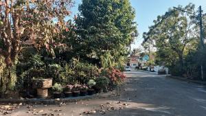 Chiang Mai Cozy House