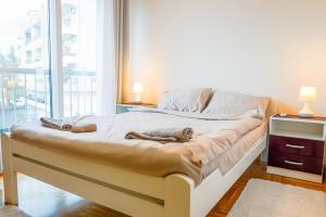 Nest Living Apartment