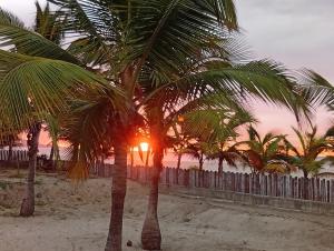 Casitas blancas vicmen Zorritos