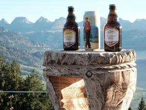 Säntis Chalet Chnorz Fireplace Apartment