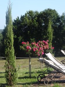 B&B / Chambres d'hotes La Rolandie Haute : photos des chambres
